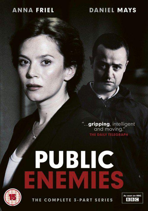 公众之敌 Public Enemies