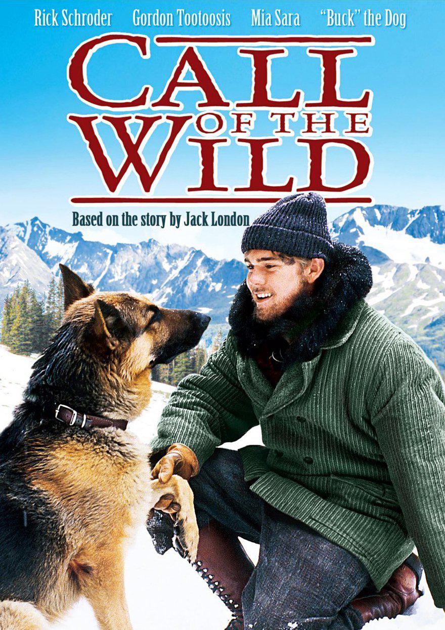 野性的呼唤 Call of the Wild