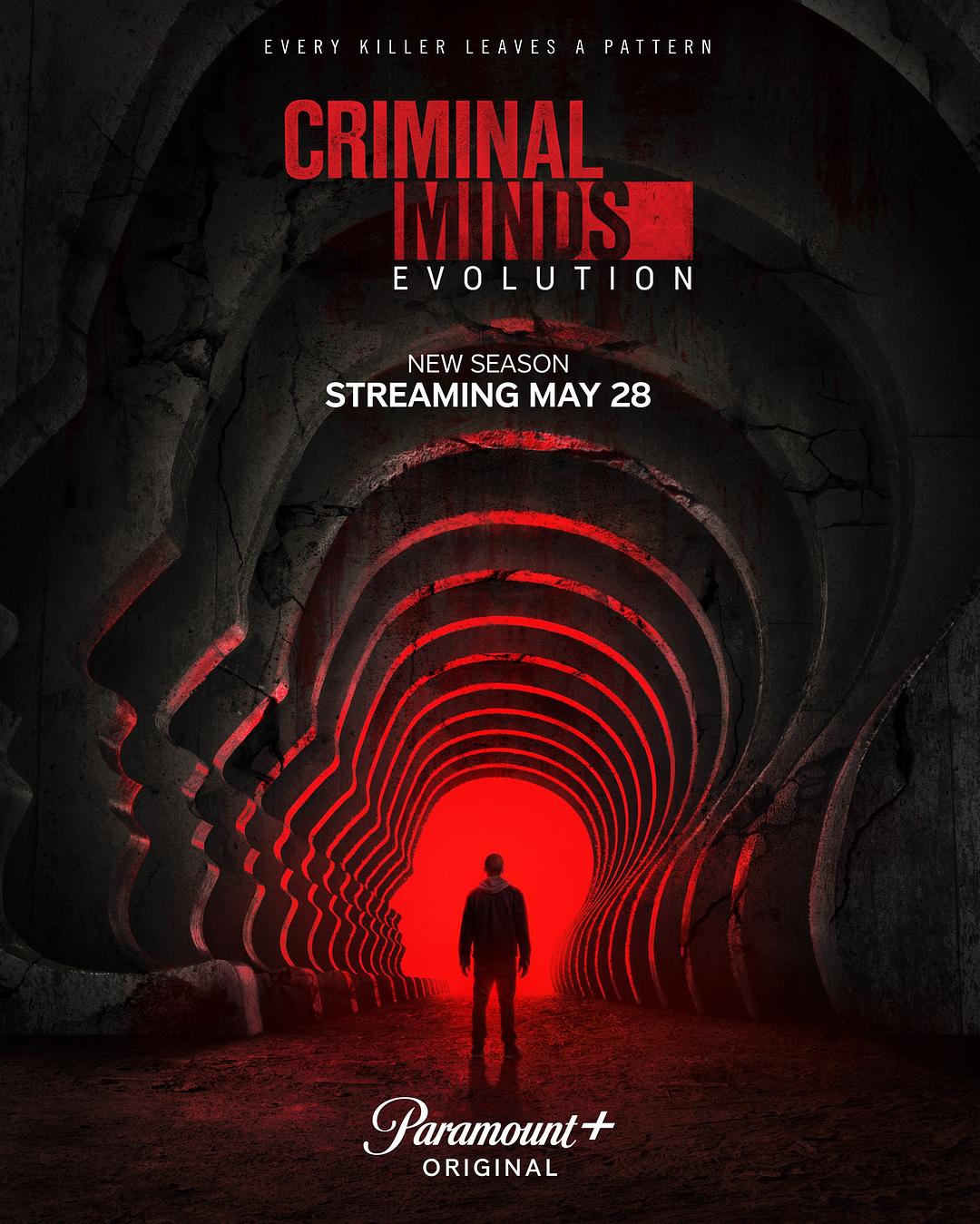 犯罪心理:演变 第十九季 Criminal Minds: Evolution Season 19