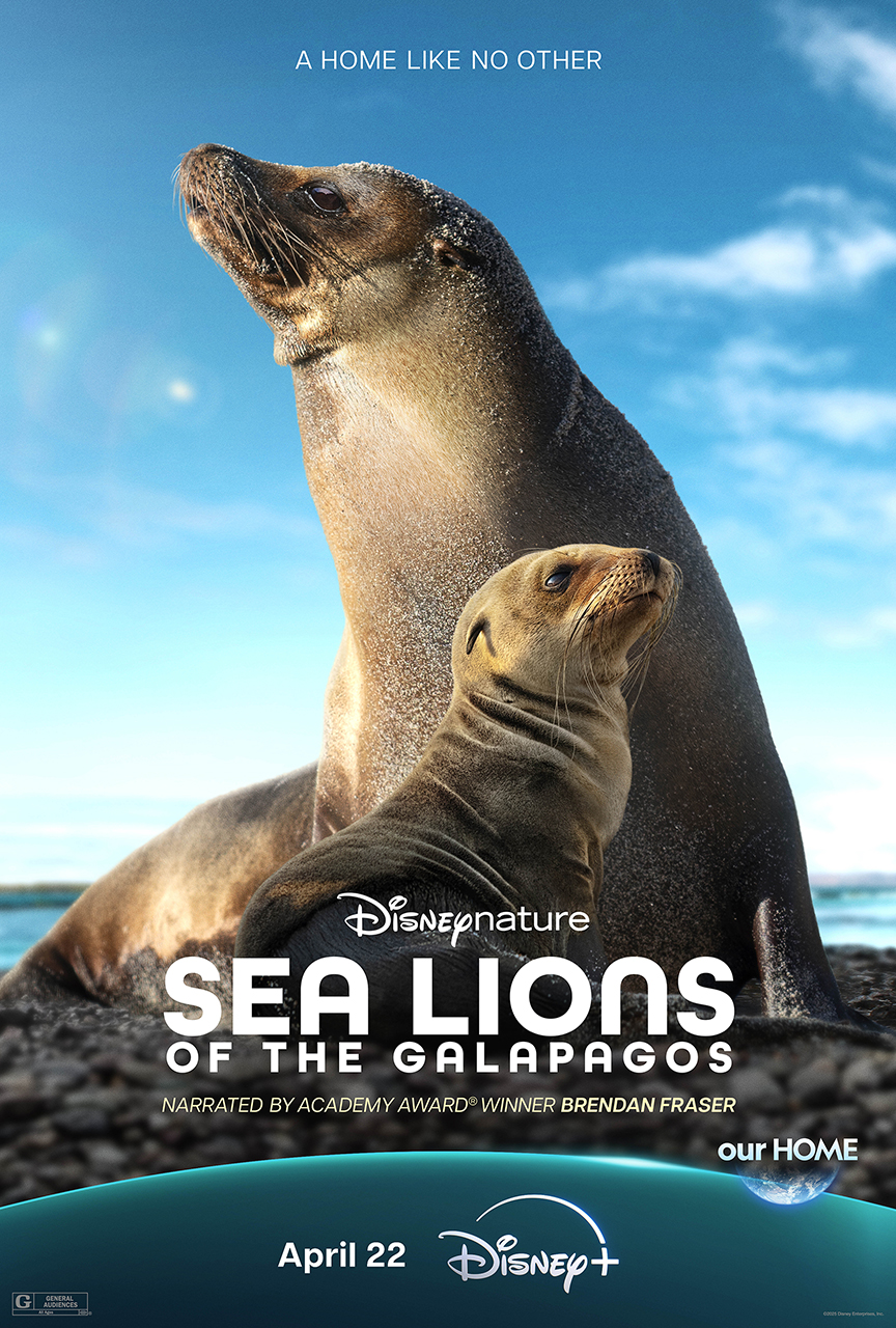 海狮利奥环岛记 Sea Lions of the Galápagos