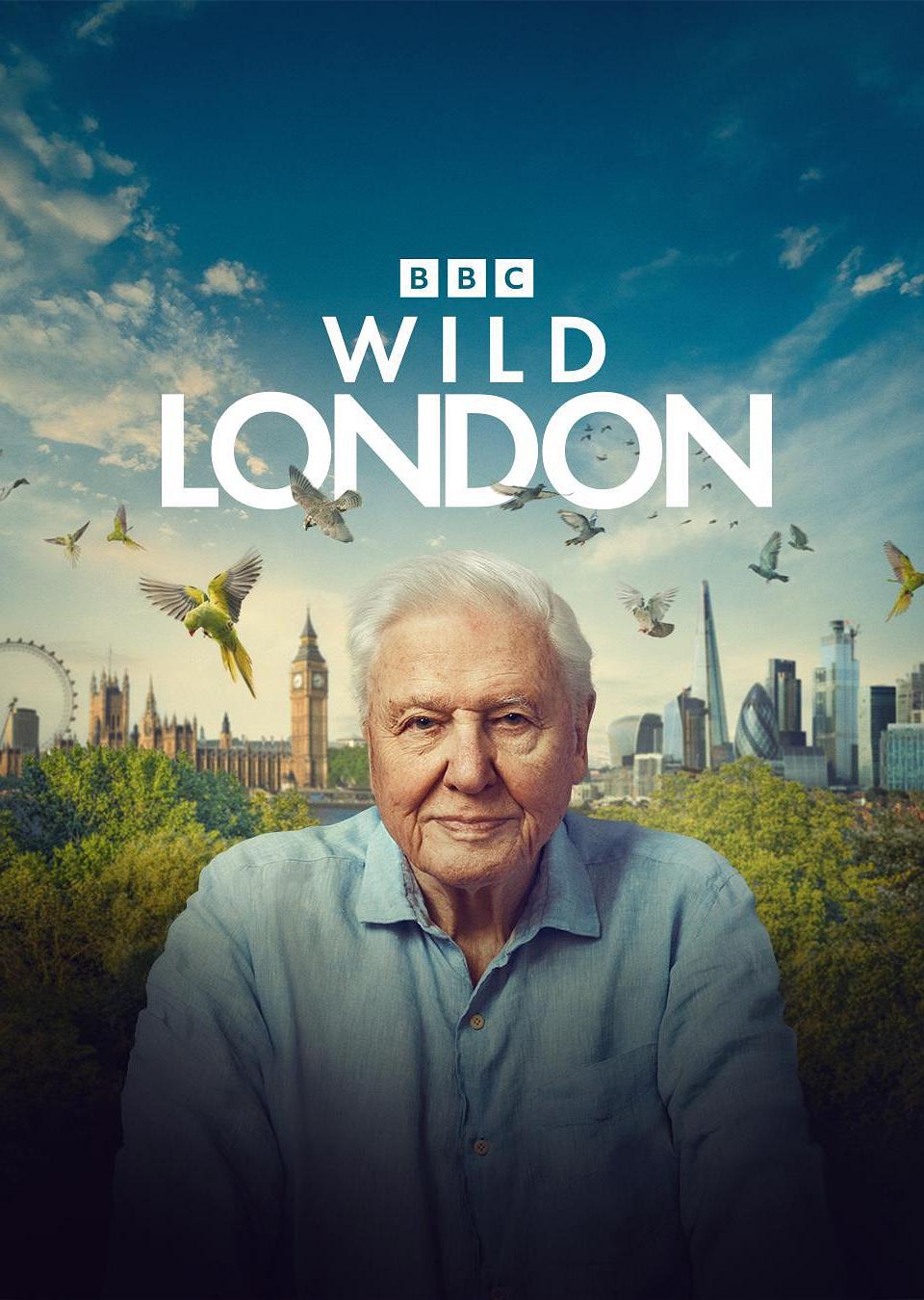 狂野伦敦 Wild London