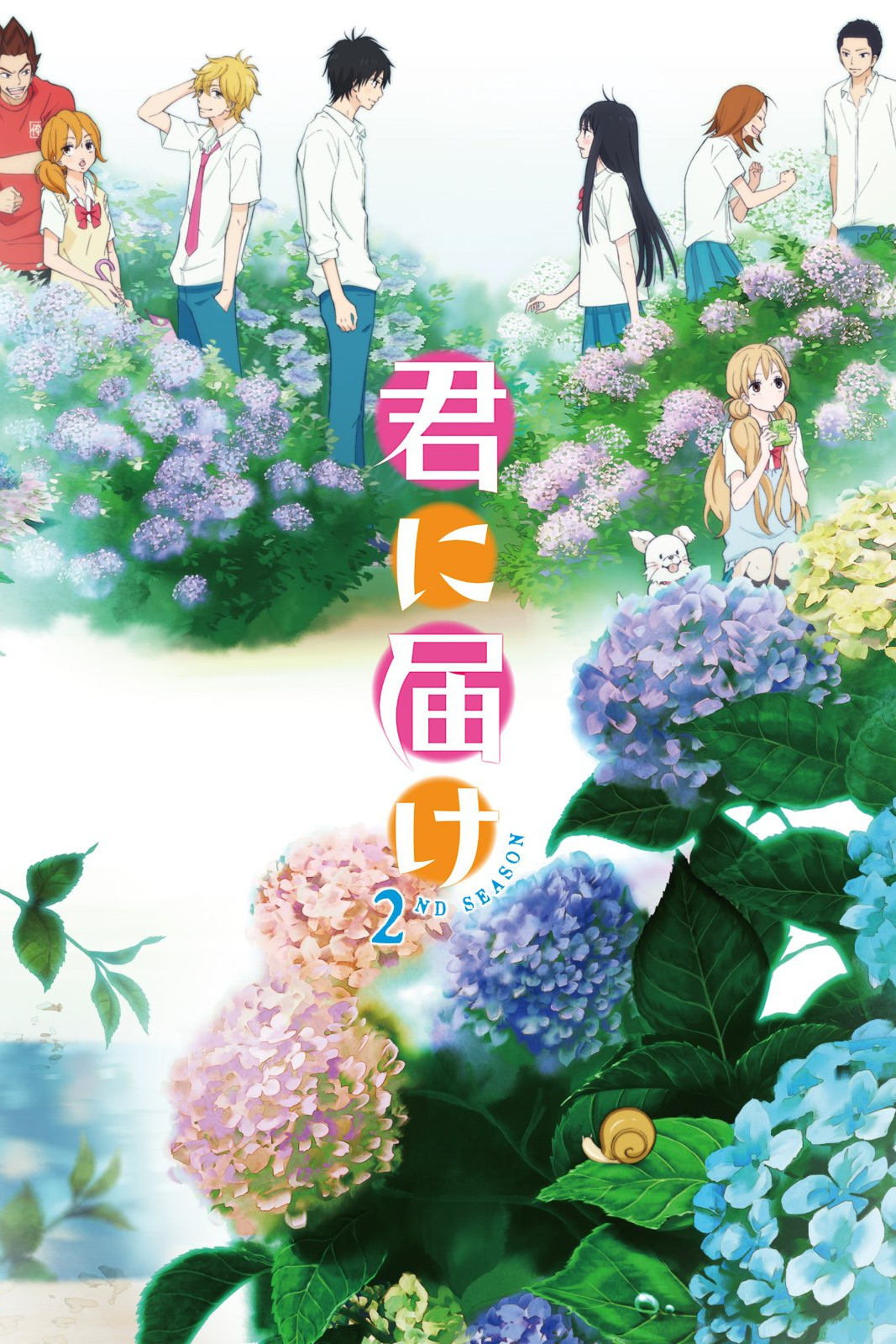 好想告诉你 第二季 君に届け 2ND SEASON